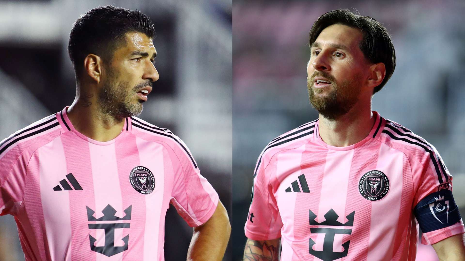 会和历史因 会和历史因